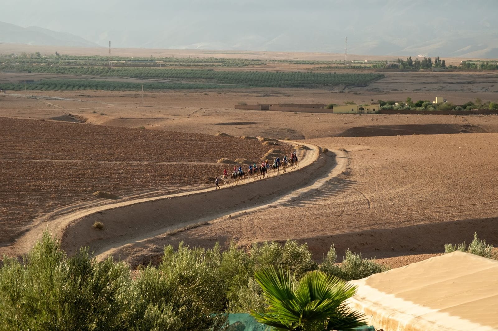 Una carovana di cammelli che attraversa il deserto vicino a Marrakech