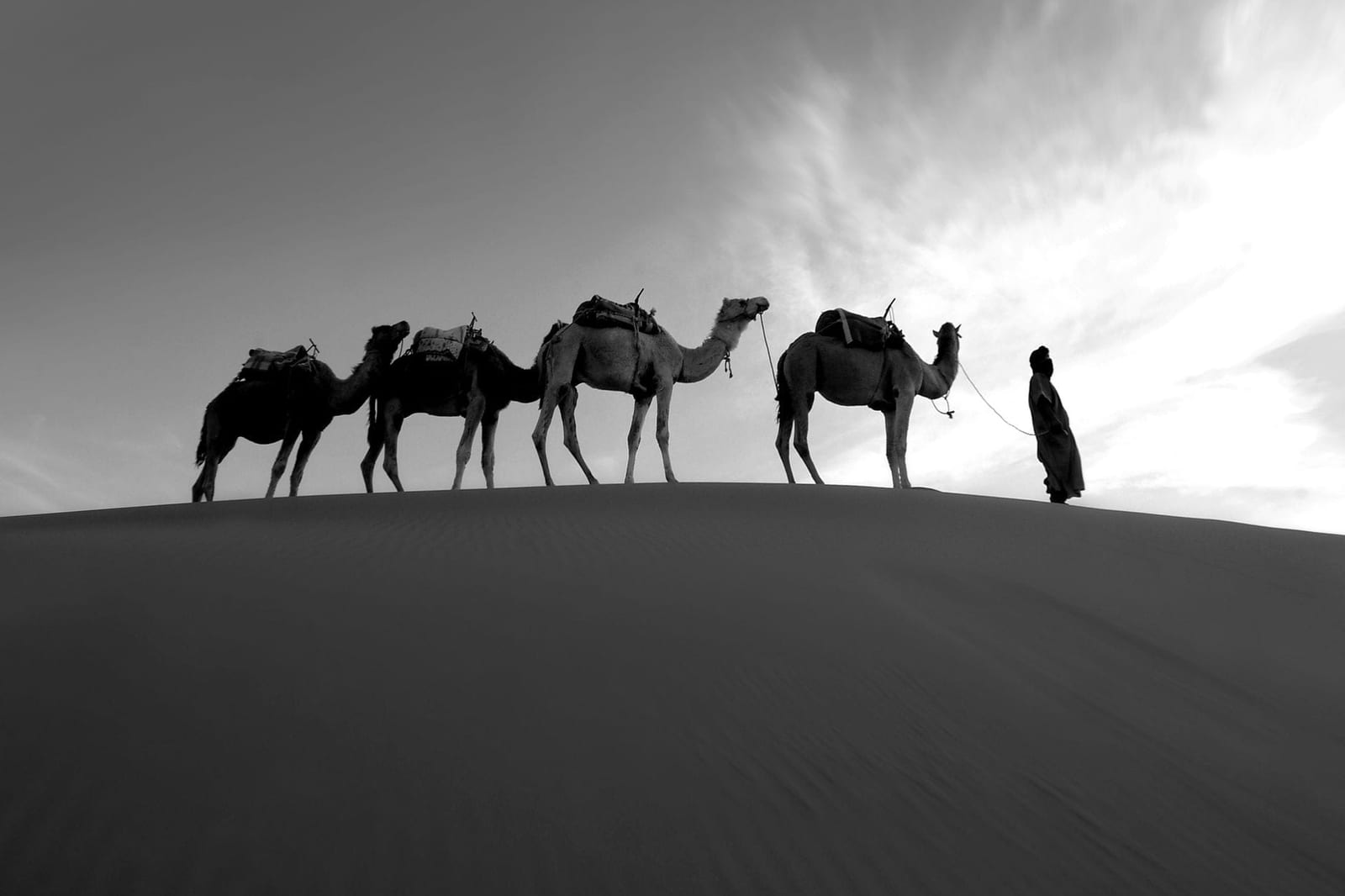 Caravane au repos sur le sable aux premières lueurs