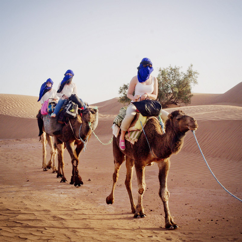 Caravane de chameaux traversant les dunes