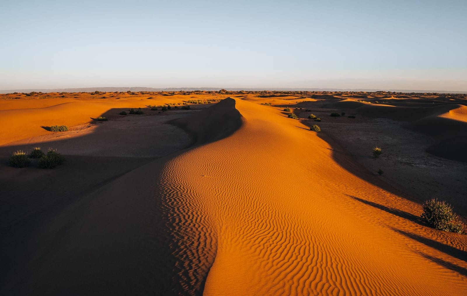 Gerippte Dünenkämme im tiefen Goldlicht der Sahara