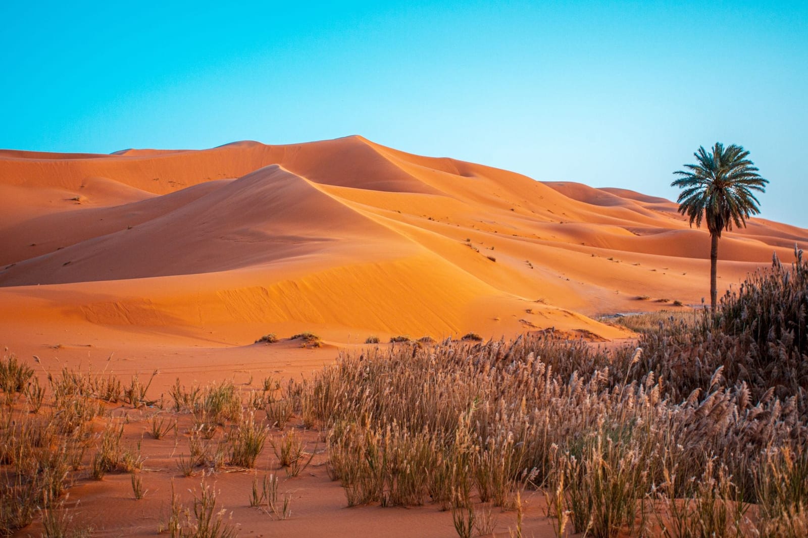 The tall orange dunes of Erg Chebbi near Merzouga