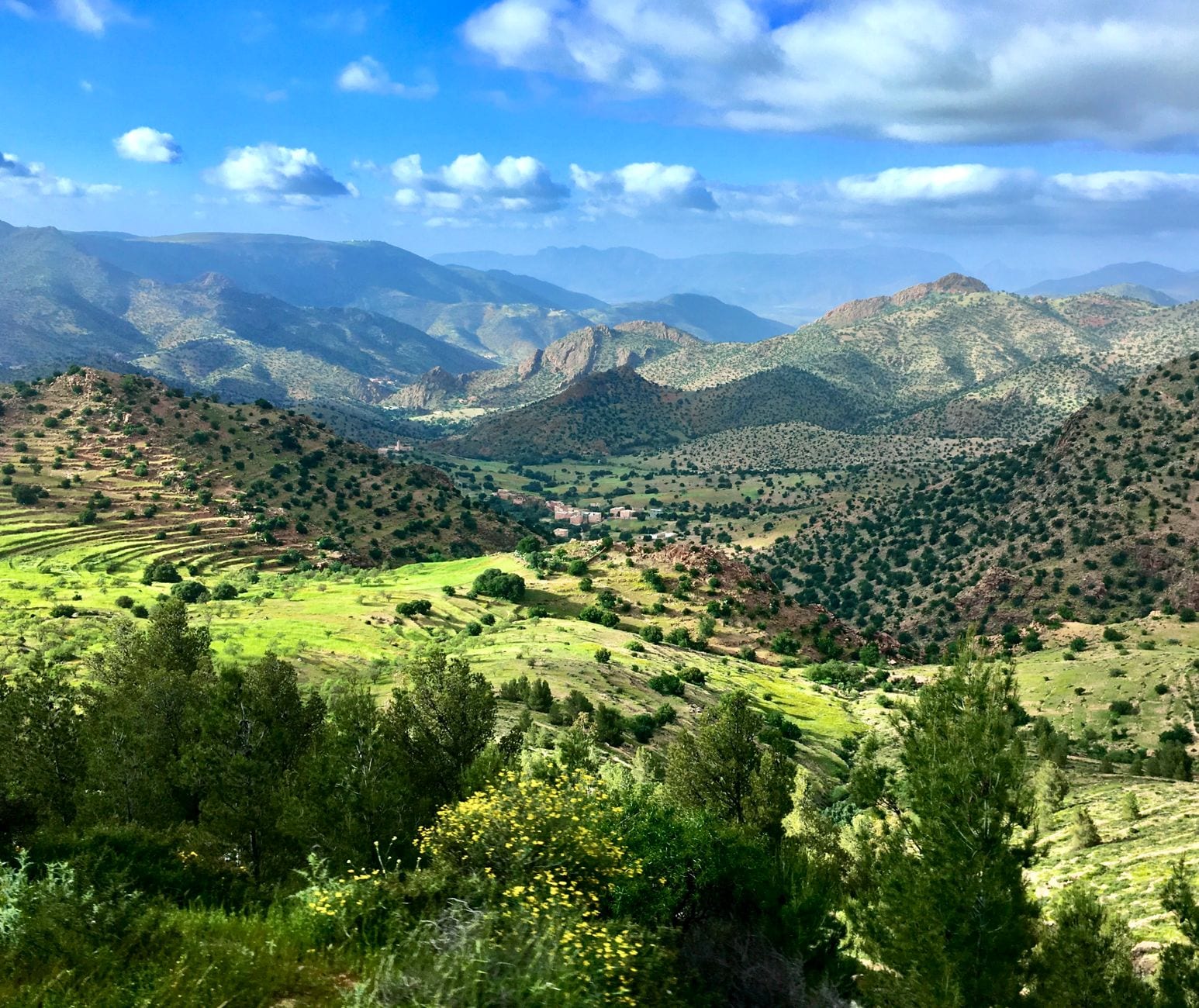Dense mountain woodland above a High Atlas village