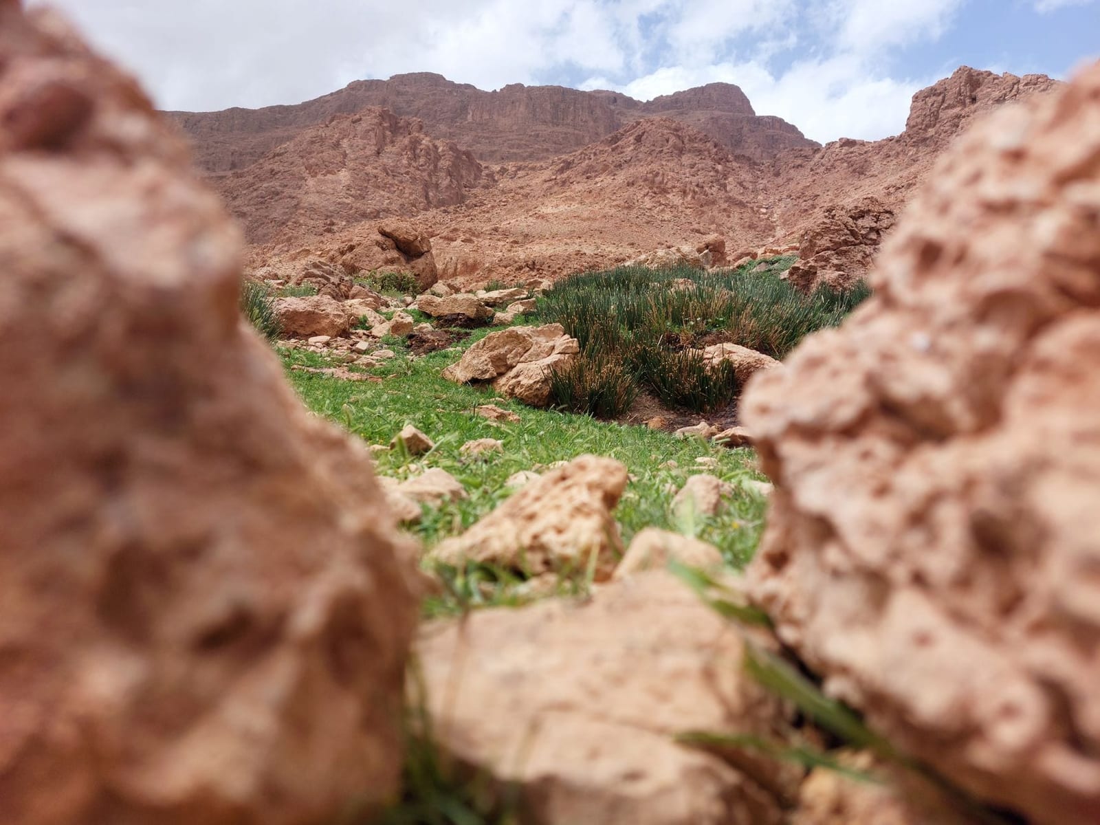 Formazioni rocciose e un fondovalle verde vicino a Tinghir