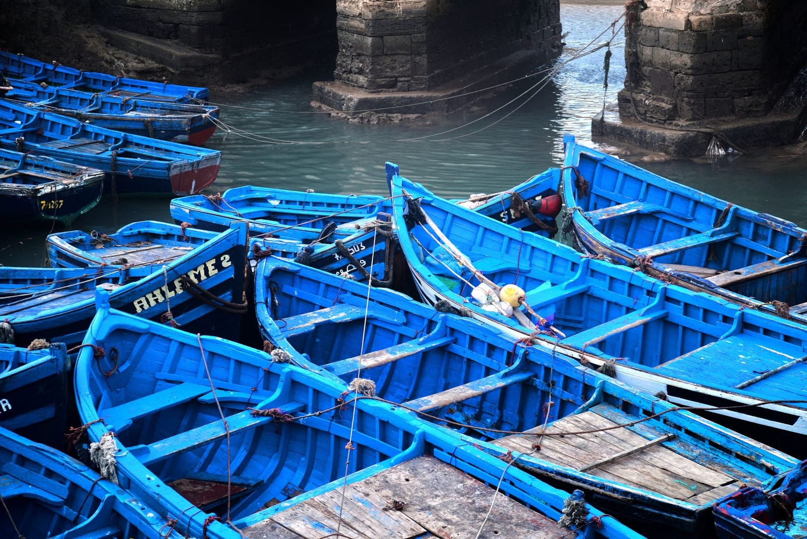Gabbiani sopra il porto peschereccio di Essaouira