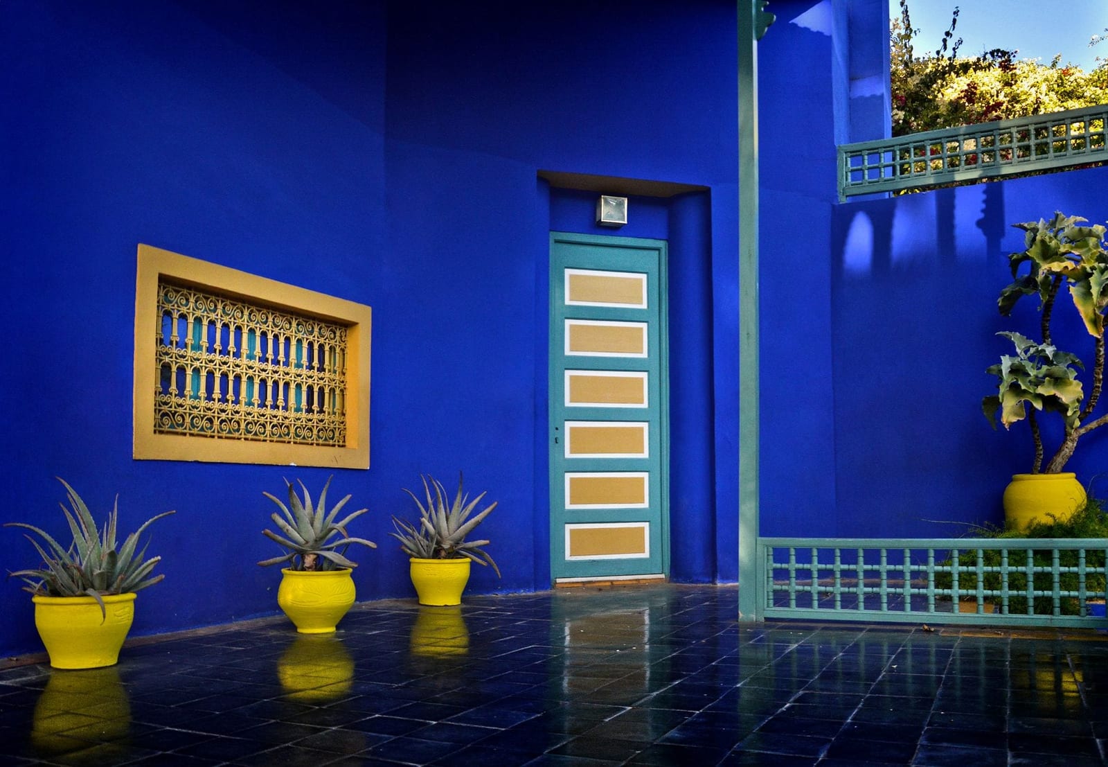 Kobaltblaue Wände und Kakteen in einem Garten in Marrakesch