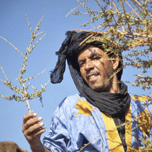 Naji, guide touristique